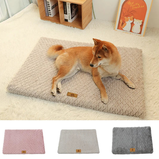 Cozy Foam Dog Bed Delight