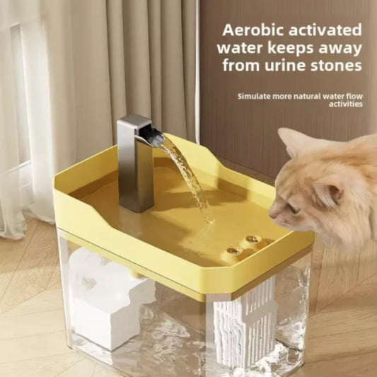 Cat Hydration Station